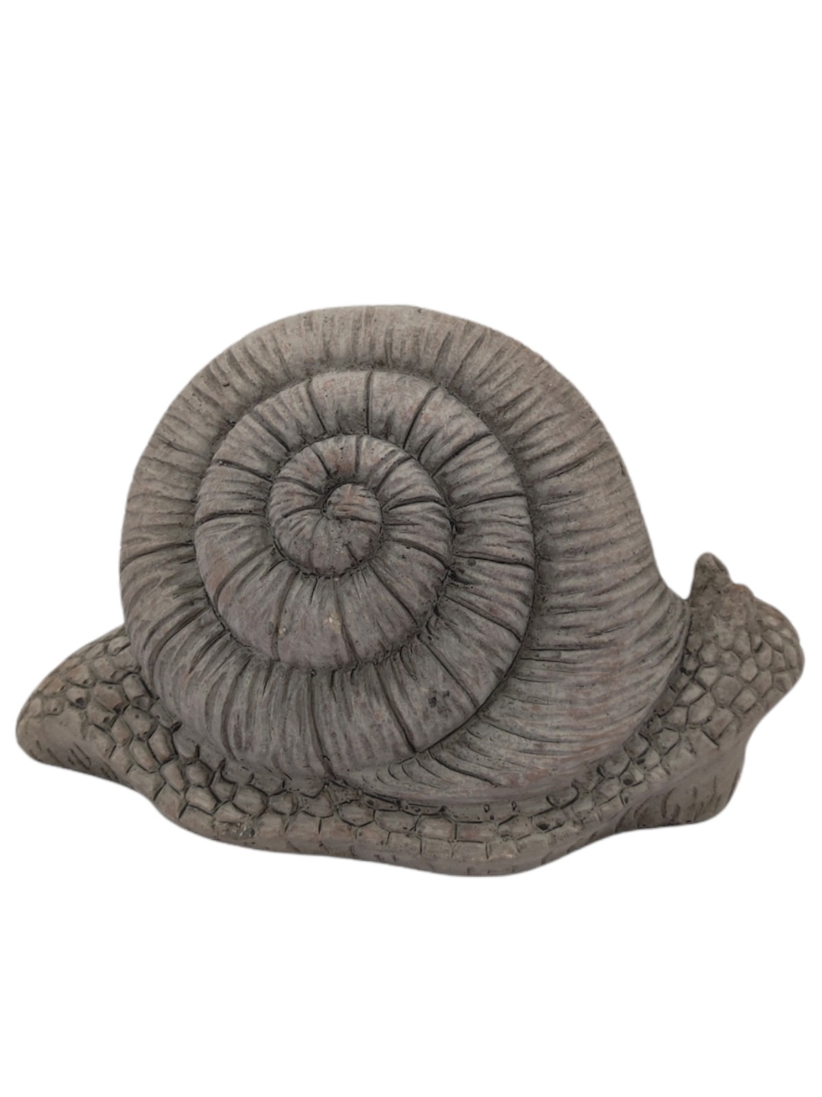 Decorative snail