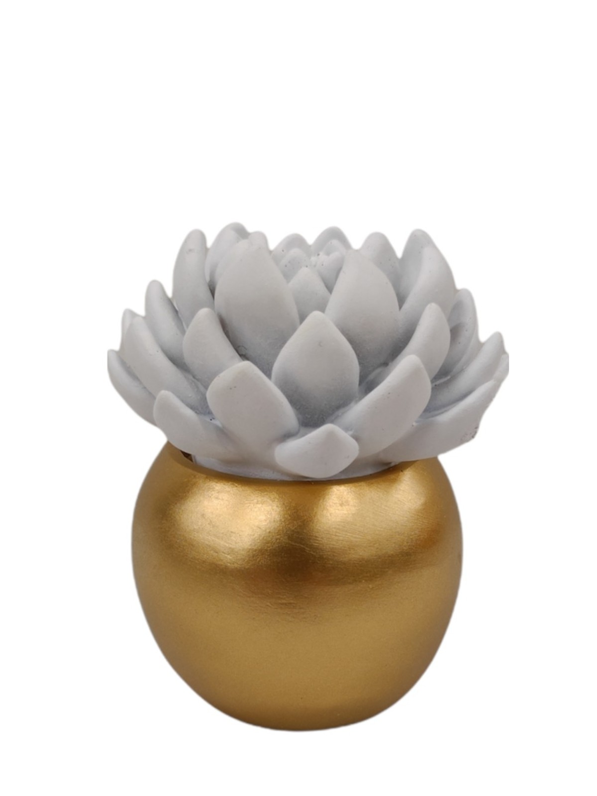 Flowerpot with succulent ceramic