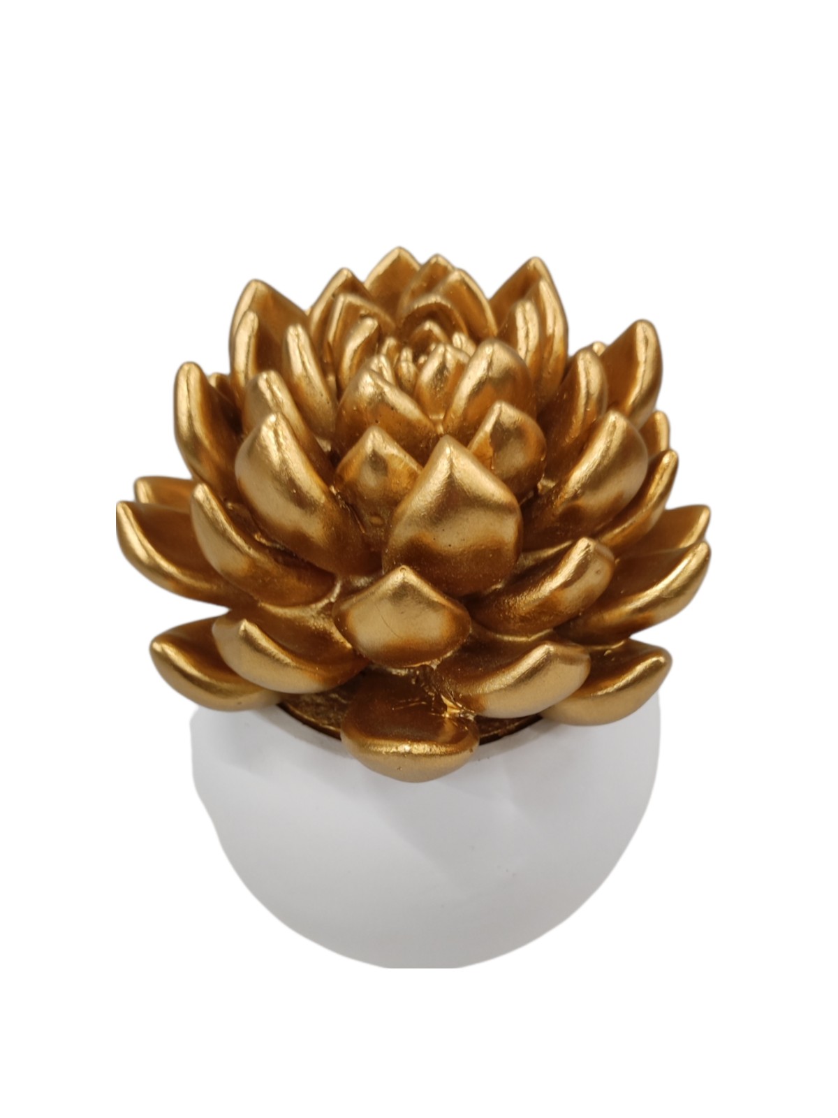 Flowerpot with succulent ceramic