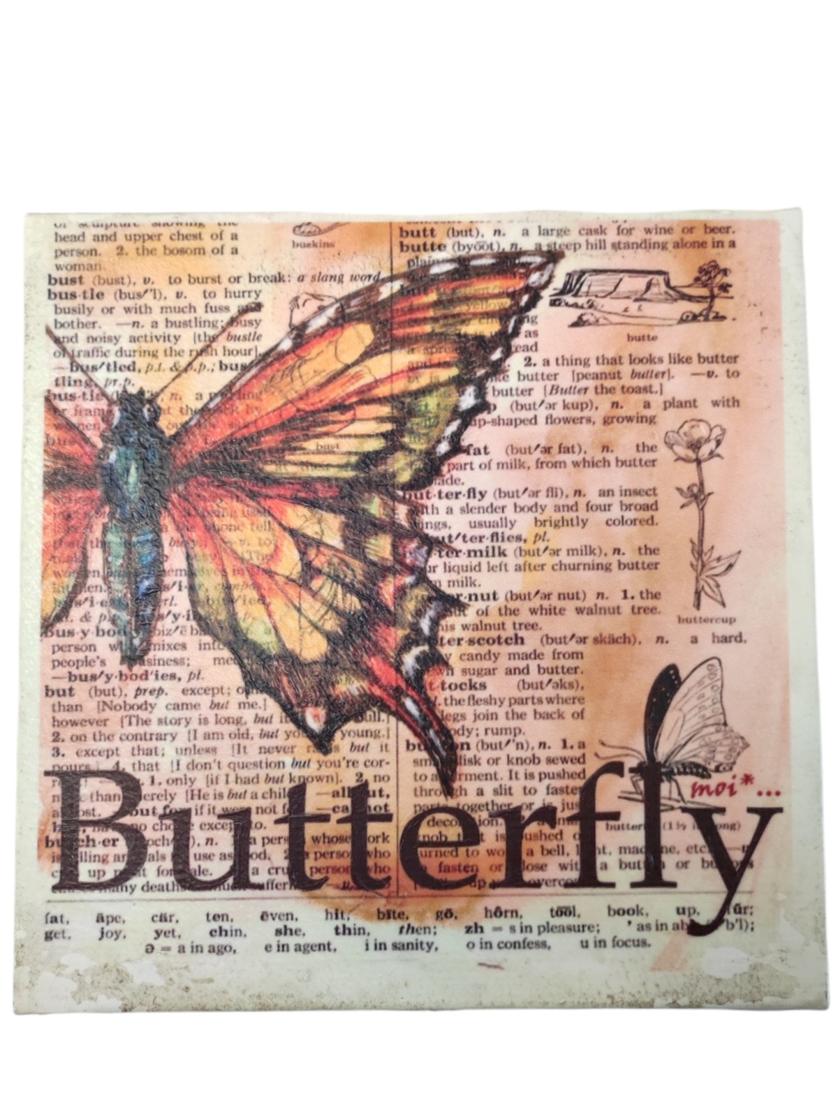 “Butterfly” canvas wall art